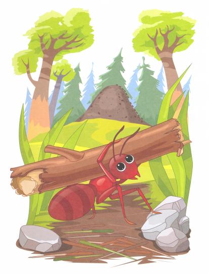 Первый урок