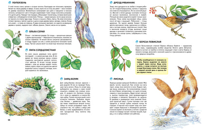 Природа России. Иллюстрированная энциклопедия
