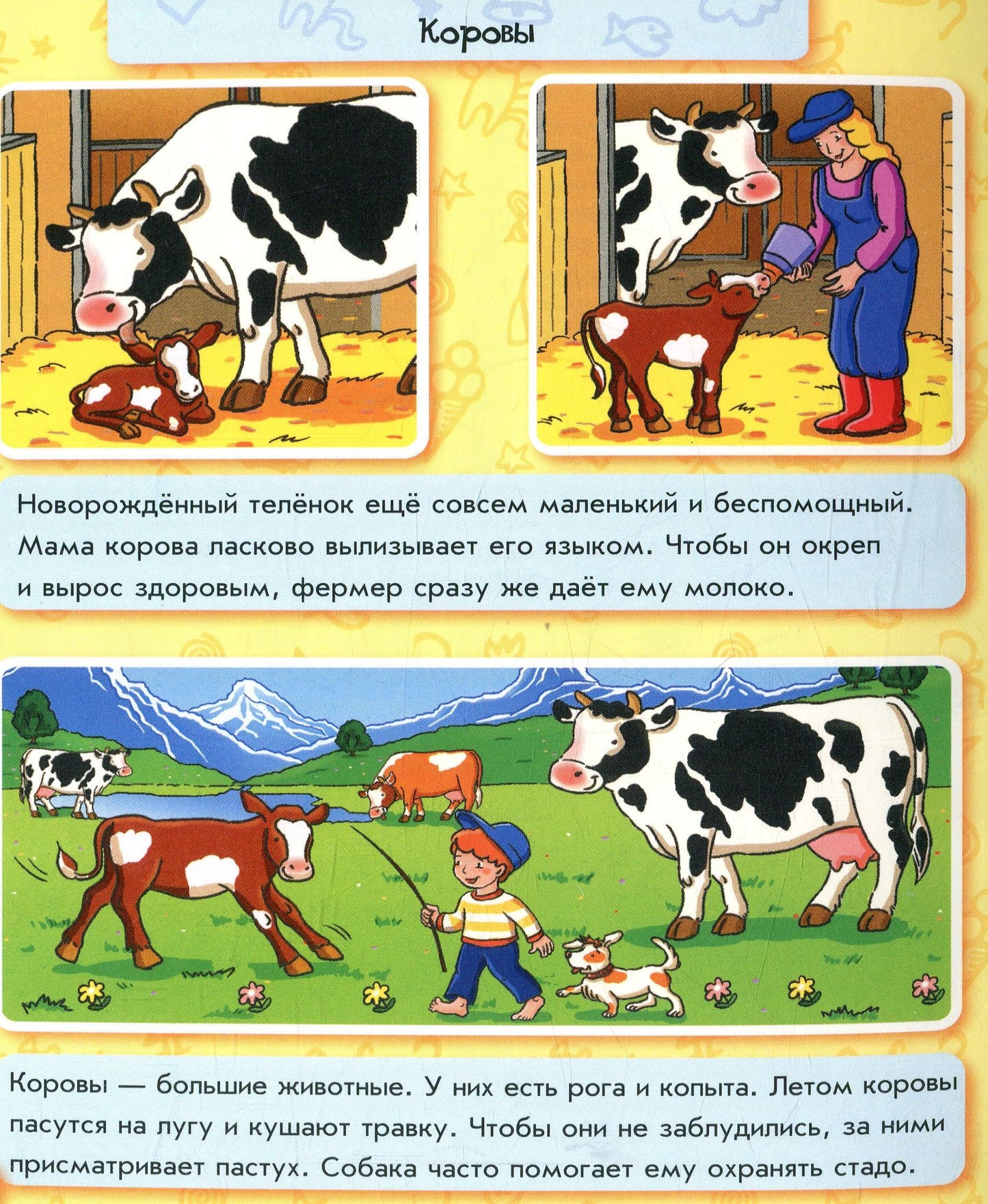 Енциклопедія в картинках: Животные на ферме (р)