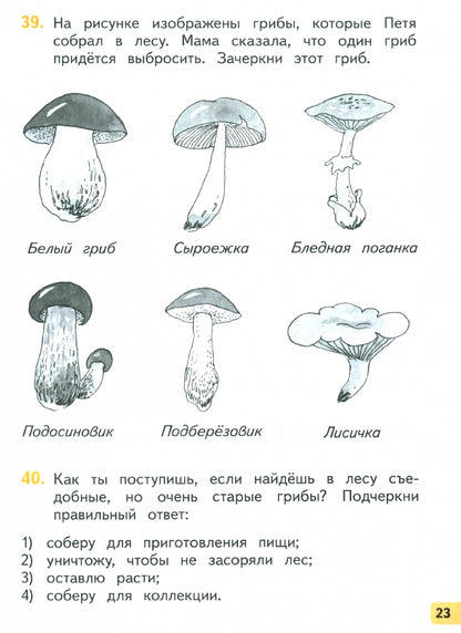 Окружающий мир 2кл [Р/т] часть 2.