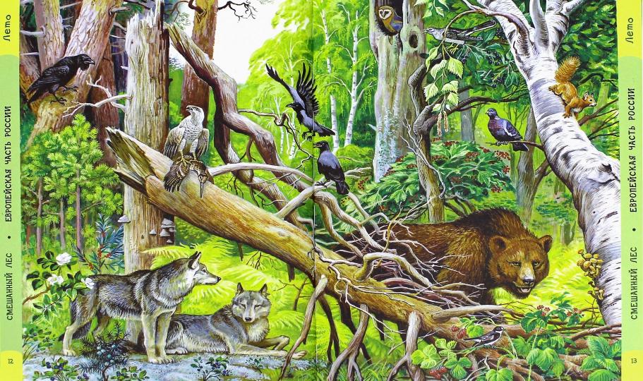 Лесные путешествия. От России до Америки