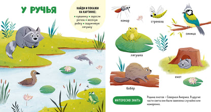 Главная книга малыша. Прогулки по лесу