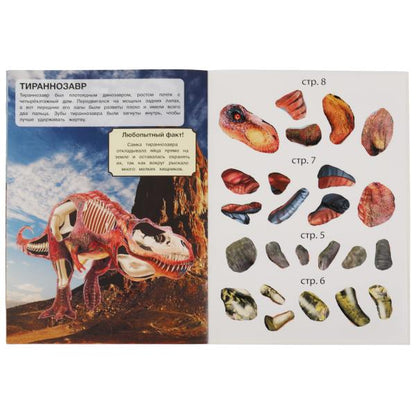 Динозавры. Активити с многоразовыми наклейками. 210х285мм. 8 стр.+50 наклеек. Умка в кор.50шт