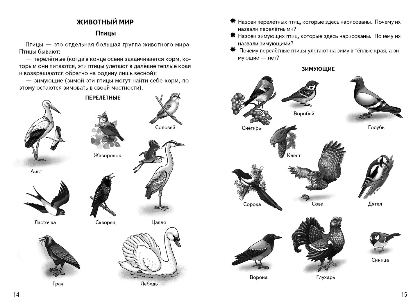 Знакомимся с окружающим миром (для детей 5-6 лет) ; Знакомимся с окружающим миром (для детей 5-6 лет)