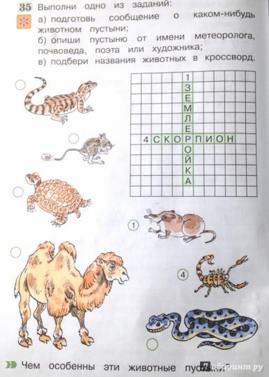 Окруж. мир (в 2-х ч.) 4кл ч1 [Раб. тетр.]