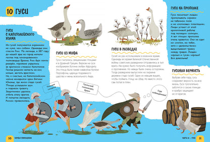 Верные помощники (ожидается поступление)