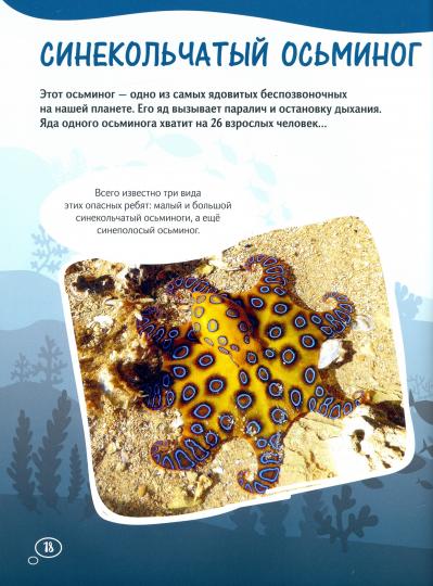 Осьминоги гигантские и крошечные