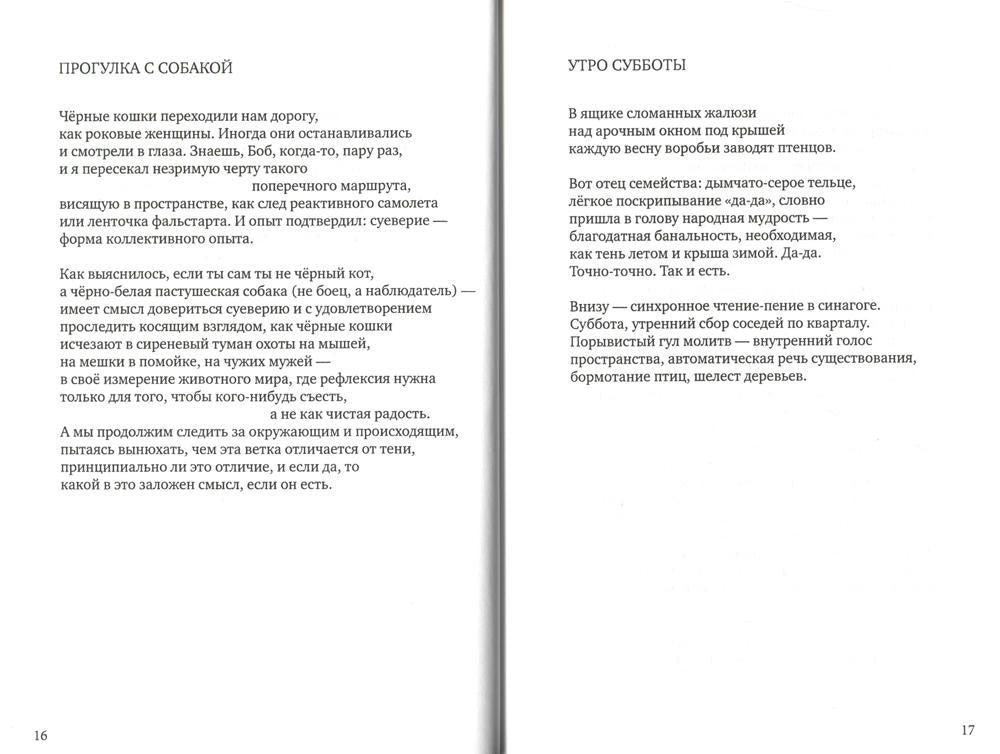 Чистая радость