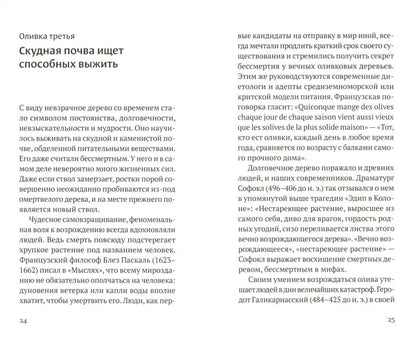 Дивная олива: краткое культурологическое исследование