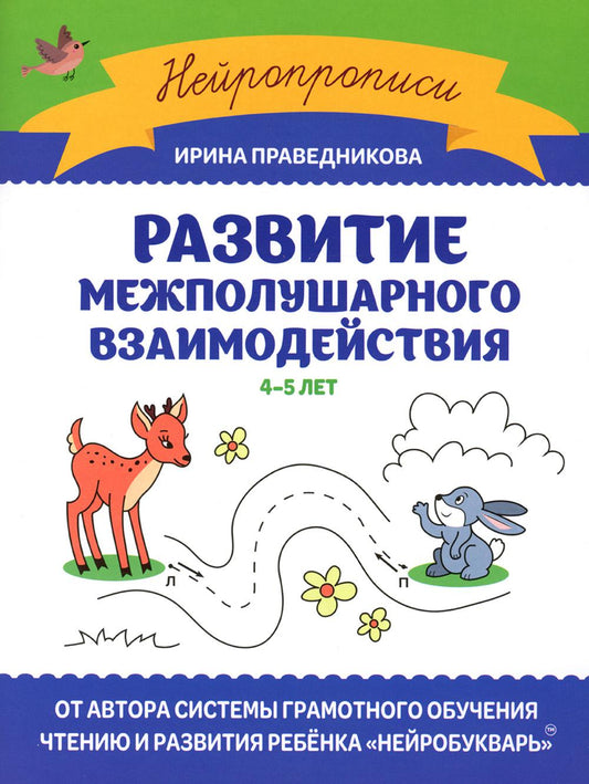 Развитие межполушарного взаимодействия: 4-5 лет дп