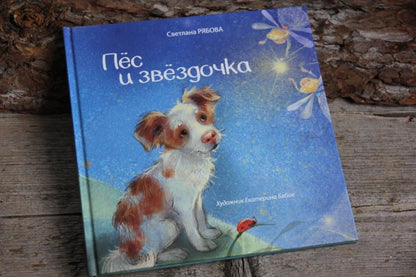 Пёс и звёздочка