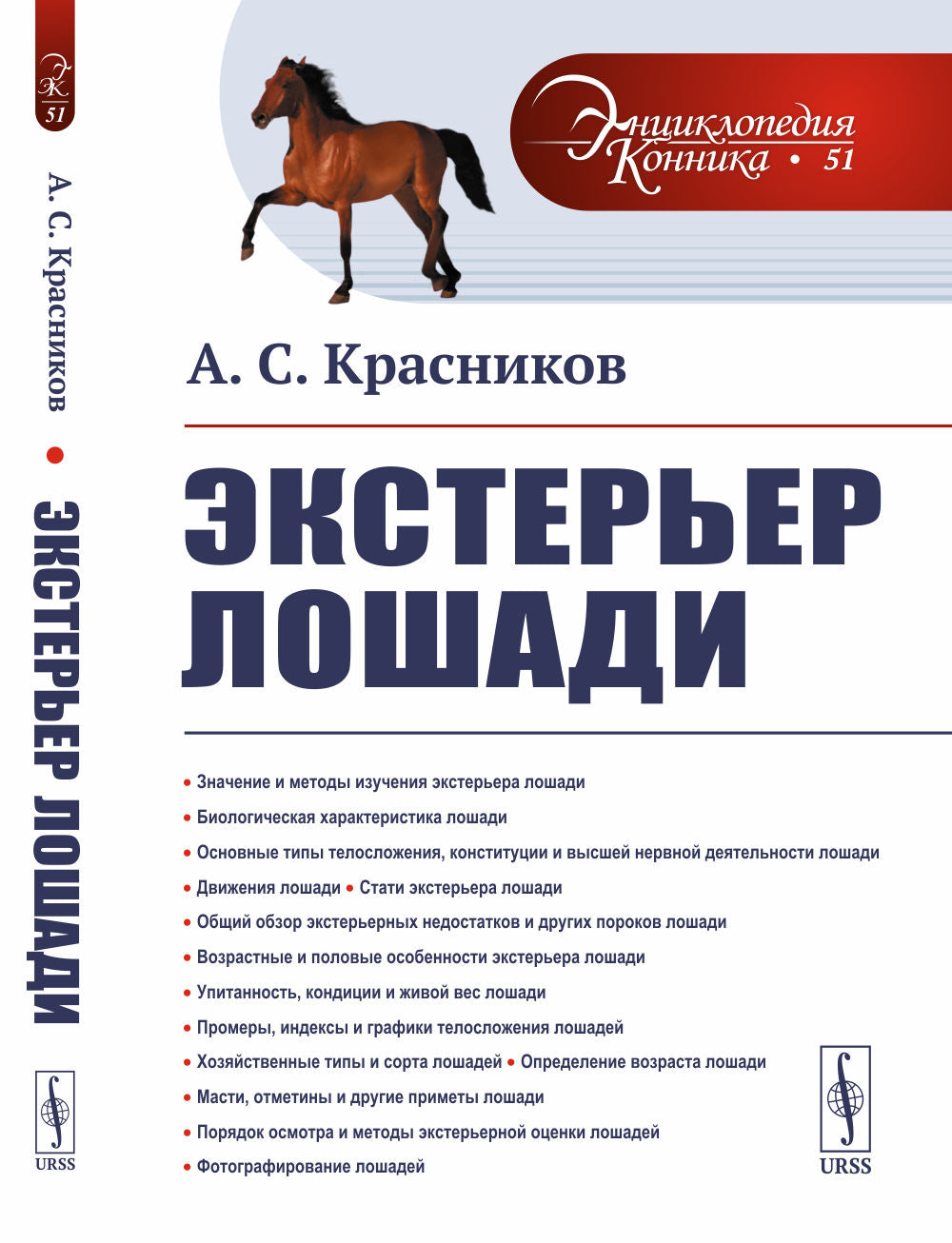 Экстерьер лошади