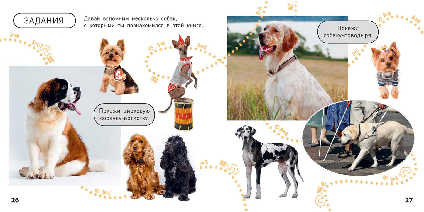 Какие бываю собаки? (ожидается поступление)