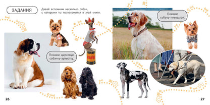 Какие бываю собаки? (ожидается поступление)