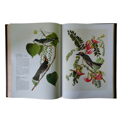 Птицы Америки