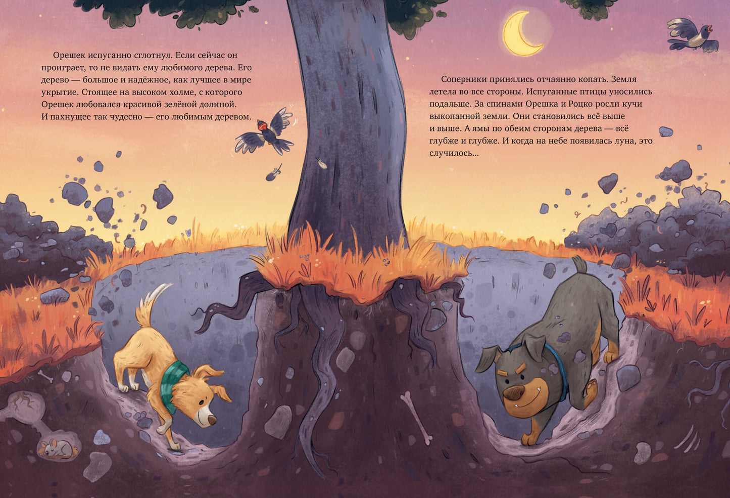 Книжки-картинки. Давай на спор!