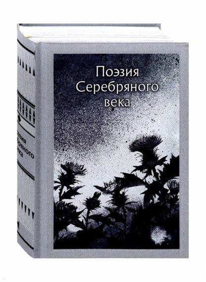 Анненский. Поэзия серебряного века(сборник)