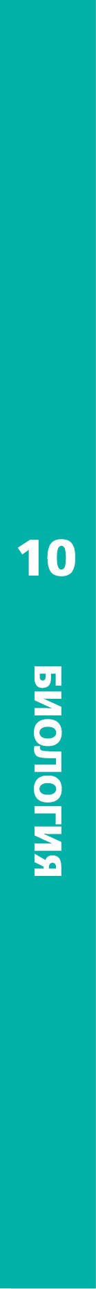 Биология. 10 класс. Базовый уровень. Учебник.