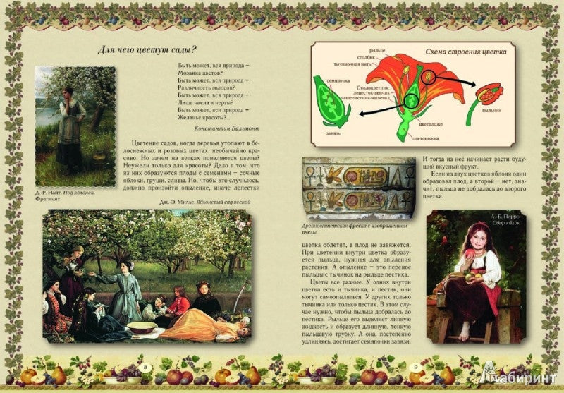 Прогулки по саду