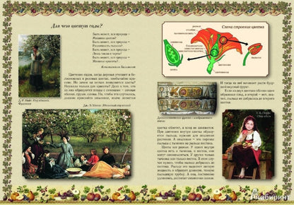 Прогулки по саду