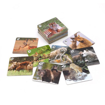 Ми-Ми-Мемо "Дикие животные" (30 карточек) арт.8050 /36