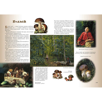 Прогулки по лесу. - 2-е изд.