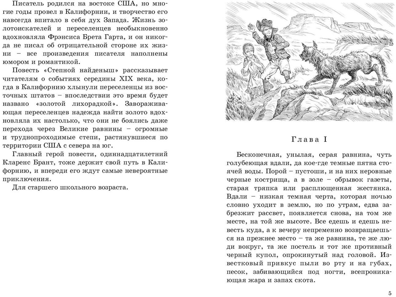 Степной найденыш (СНИЖЕНА ЦЕНА)