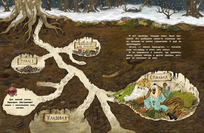 Детская книга "Кто украл орехи?". Детектив для детей