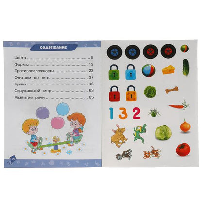 Годовой курс занятий 2-3 года с наклейкакми М.А. Жукова. 205х280мм, 96 стр. Умка в кор.15шт