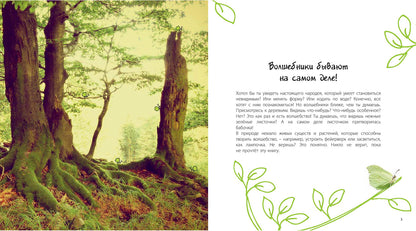 Посмотри, как я могу! Чудеса животного мира (ожидается поступление)