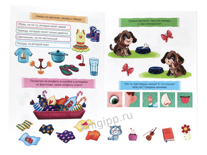 ТРЕНАЖЁР ПО РУССКОМУ 4+