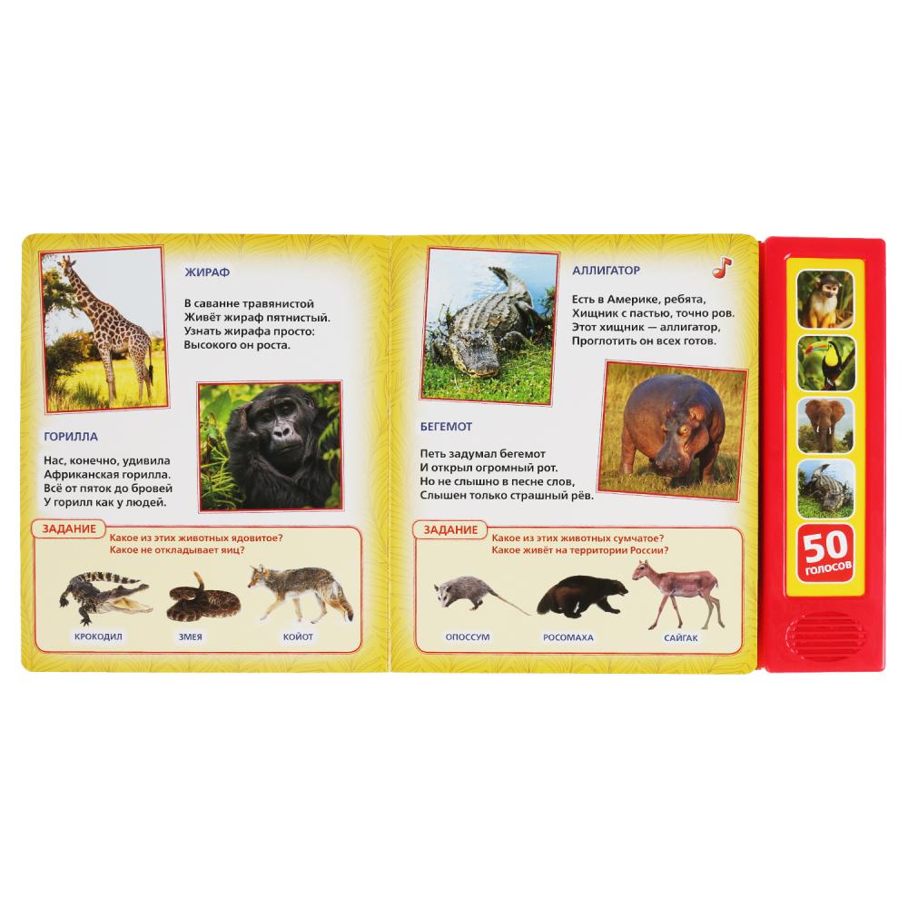 "Умка". Зоопарк. В.Степанов (5 звук. кнопок, Говорящая энциклопедия). 200х175мм, 10 стр. в кор.32шт