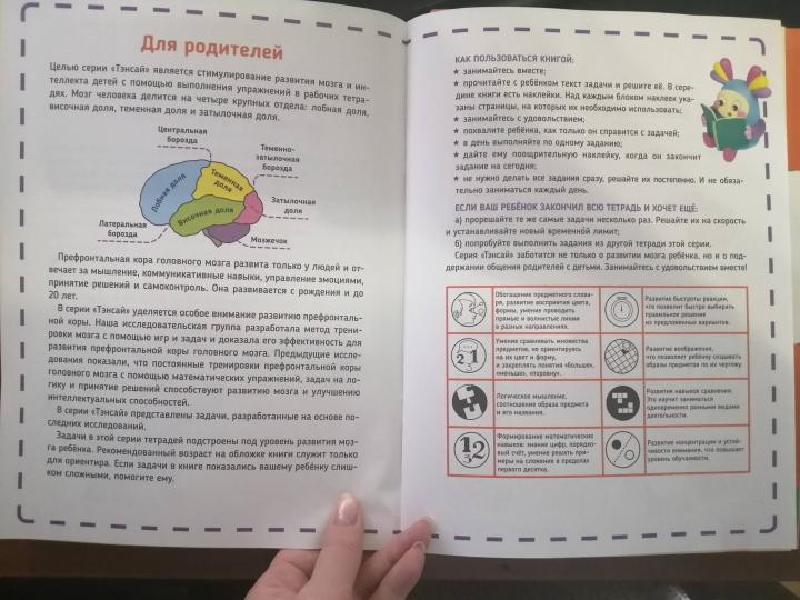 Тэнсай. Развиваем интеллект. 2-3 года (с наклейками)