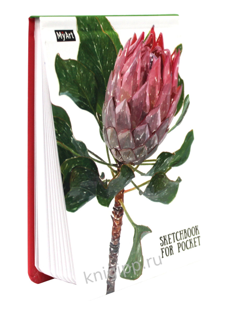 MyArt. Sketchbook for Pocket. Протея
