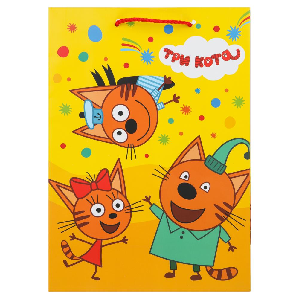 Paquet sous-marin de 10 x 12 pouces