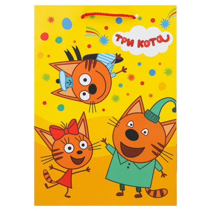 Paquet sous-marin de 10 x 12 pouces