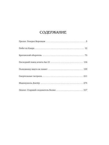 Каирский дебют… Записки из синей тетради: роман