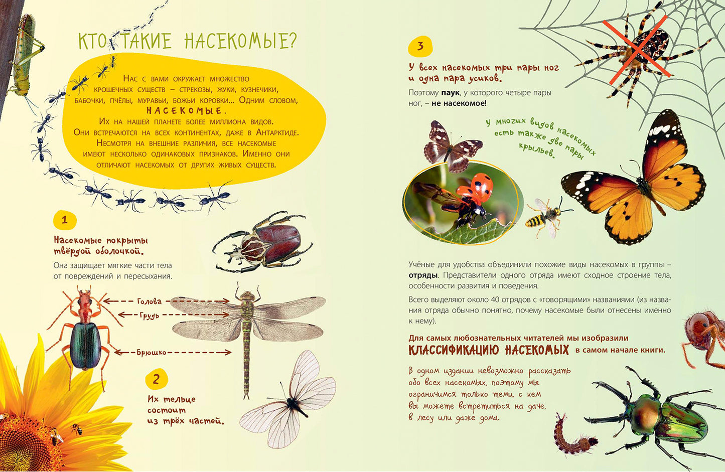 Такие незнакомые эти насекомые (СНИЖЕНА ЦЕНА)