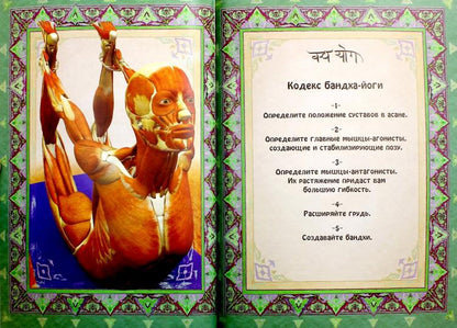 Анатомия прогибаний и скручиваний