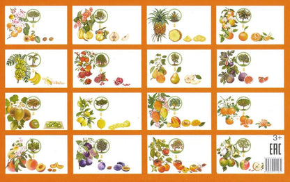 Карточки. Фрукты ; Карточки. Фрукты
