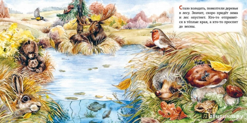 Смирнова. Кто как зимует