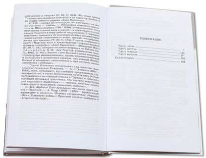 Анна Каренина: роман. В 2 т. Т. 2: Ч. 5-8