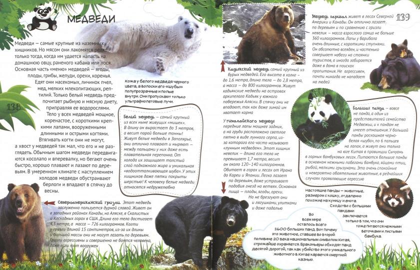 Большая энциклопедия младшего школьника - ХОЧУ ВСЕ ЗНАТЬ! Энциклопедия младшего школьника