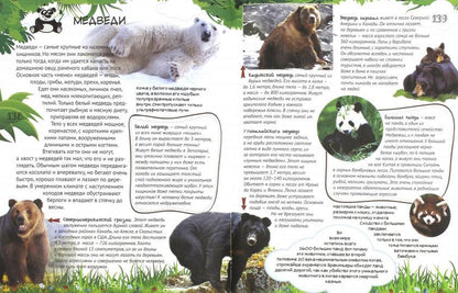Большая энциклопедия младшего школьника - ХОЧУ ВСЕ ЗНАТЬ! Энциклопедия младшего школьника