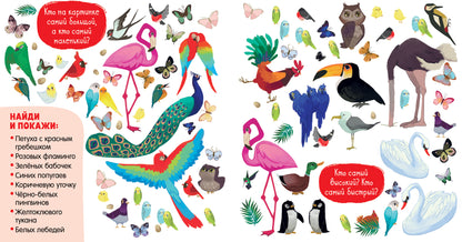 Найди и покажи. Найди и покажи для девчонок/Попова Е.