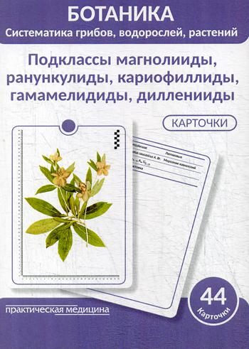 Ботаника. Систематика грибов, водорослей, растений. Подклассы магнолииды, ранункулиды, кариофиллиды, гамамелидиды, дилленииды. КАРТОЧКИ (44 шт).