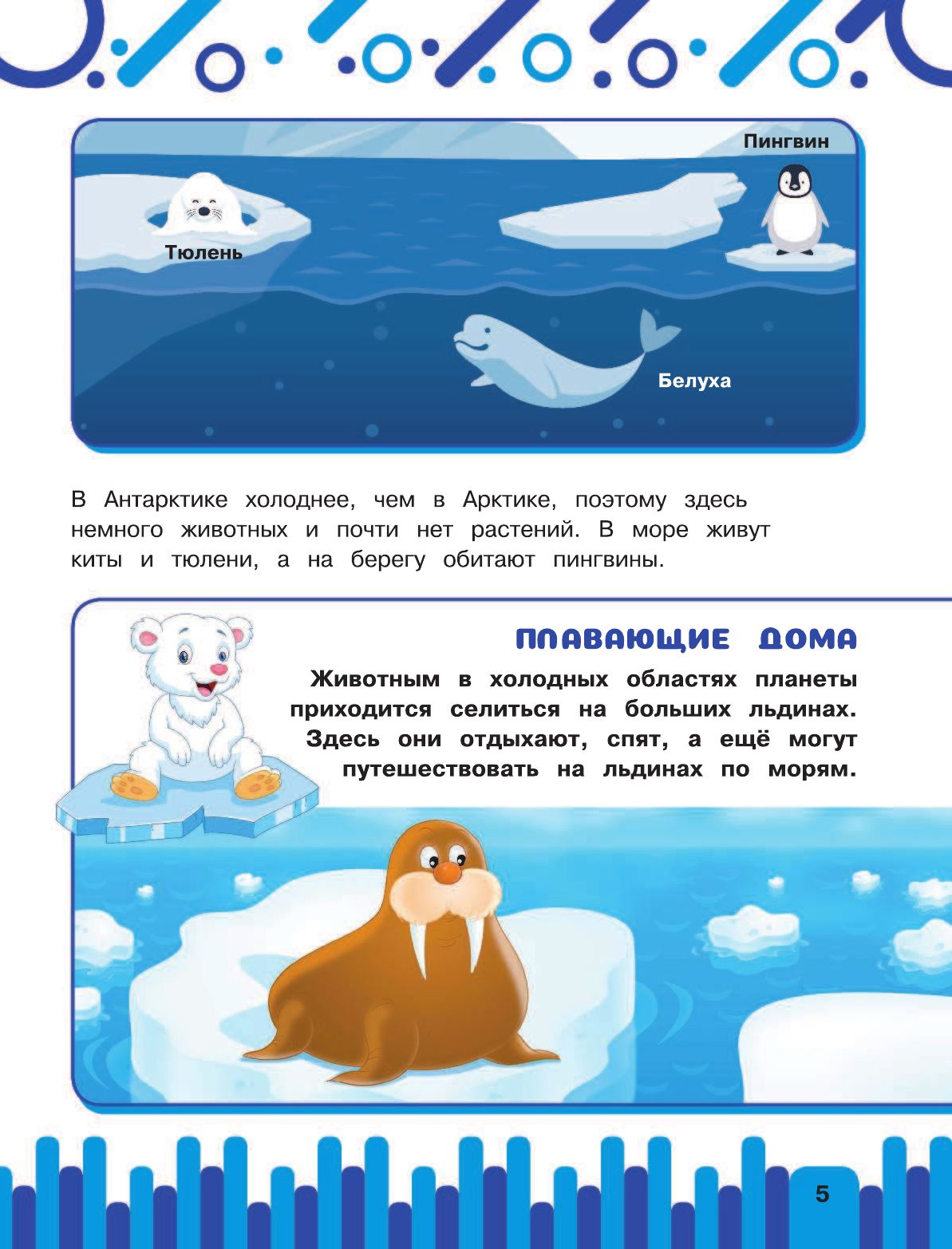 Животные