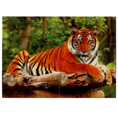 Набор из 12-и кубиков-пленка "Экзотические животные" ИГРАЕМ ВМЕСТЕ в кор.26наб