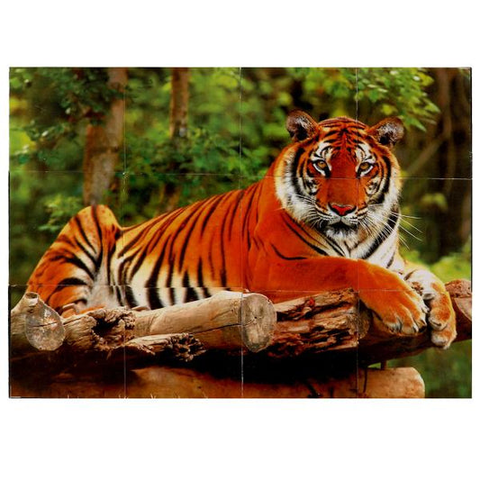 Набор из 12-и кубиков-пленка "Экзотические животные" ИГРАЕМ ВМЕСТЕ в кор.26наб