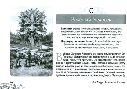 Таро Зеленой ведьмы (брошюра) (4027)